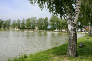 ribnik-hotinja